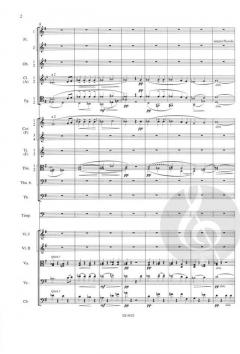 Sinfonie Nr. 8 G-Dur op. 88 B 163 von Antonín Dvorák 