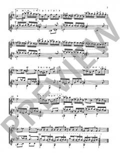Sonate von Ernst Gottlieb Baron 