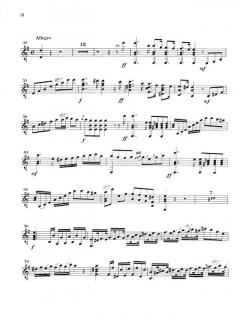 Konzert e-Moll op. 140 von Ferdinando Carulli 