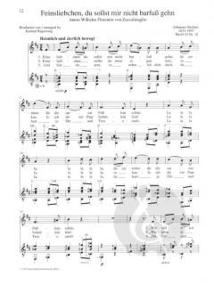 7 Deutsche Volkslieder aus WoO 33 von Johannes Brahms 