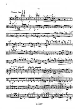 Sonate von Fjodor Druschinin für Viola solo im Alle Noten Shop kaufen