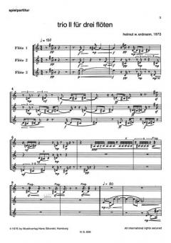 Trio II von Helmut W. Erdmann für 3 Flöten im Alle Noten Shop kaufen (Partitur)