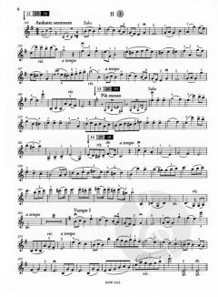 Konzert für Violine und Klavier Op. 24 in G-Dur von Oskar Rieding im Alle Noten Shop kaufen