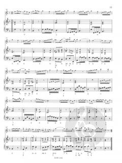 Sonate für Altblockflöte und B.c. op. 2 Nr. 2 in d-Moll (Benedetto Marcello) 
