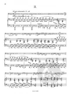 Sonate Nr. 2 g-Moll op. 19 von Sergei Rachmaninow 