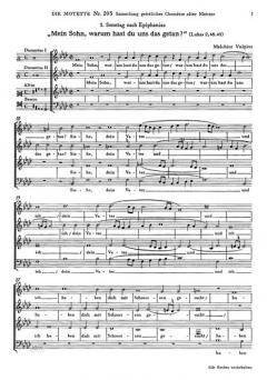 Mein Sohn, warum hast du uns das (Melchior Vulpius) 