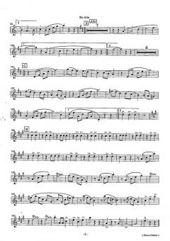 Strauss Bukett (Download) (Download) 