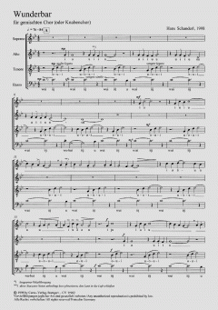 Wunderbar von Hans Schanderl (Download) 