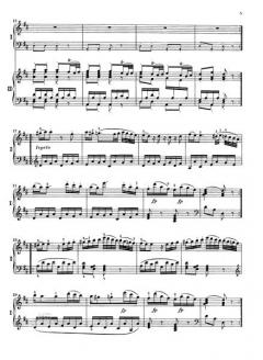 Konzert-Rondo D-Dur KV 382 von Amadeus Webersinke 