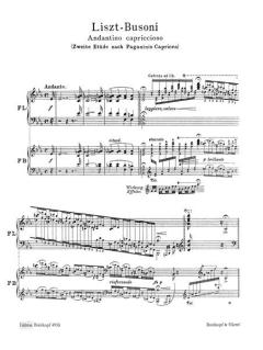 6 Etuden nach Paganini Nr. 2 von Franz Liszt 