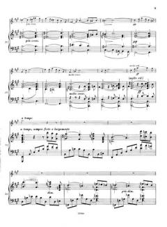 Sonate A-dur von Cesar Franck 