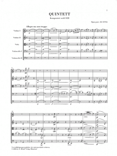 Streichquintett C-dur op. post. 163 D 956 von Franz Schubert im Alle Noten Shop kaufen (Stimmensatz)