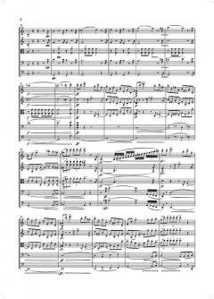 Streichquintett C-dur op. post. 163 D 956 von Franz Schubert im Alle Noten Shop kaufen