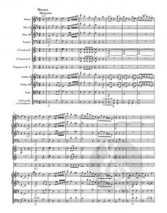Sinfonie 'The Miracle' von Joseph Haydn 