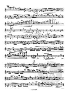 2 Solosonaten von Günter Raphael (Download) 
