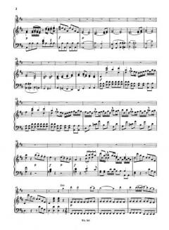 Flötenkonzert D-Dur von Friedrich Schwindel im Alle Noten Shop kaufen