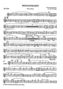 Pfingstrosen von Hermann Egger 