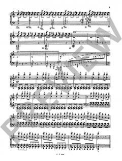 Préludes Brefs op. 9 von Richard de Guide 