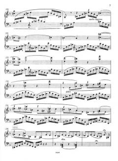 Kadenzen zu Klavierkonzerten W. A. Mozarts Heft 2 von Ferruccio Busoni im Alle Noten Shop kaufen
