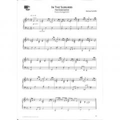 Piano Tunes In Different Styles von Michael Schäfer 