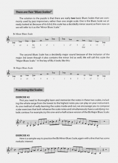The Blues Scales C-Instruments von Dan Greenblatt 