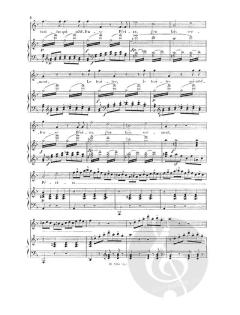 La Flute Trav. Enchantee von Wolfgang Amadeus Mozart 