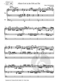 Choralvorspiele für Orgel von Schneider im Alle Noten Shop kaufen