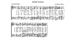 Abend kommt 