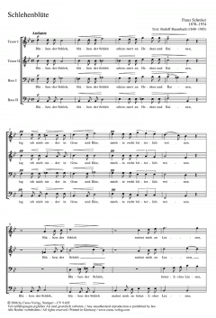 Schlehenblüte; Versunken von Franz Schreker (Download) 