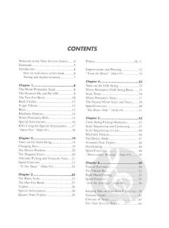Heavy Metal Lead Guitar Vol.1 von Troy Stetina 