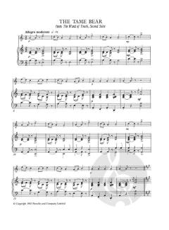 An Elgar Flute Album von Edward Elgar 