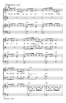 The Voice von Brendan Graham (Download) 