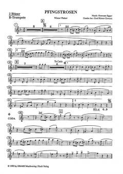 Pfingstrosen von Hermann Egger 