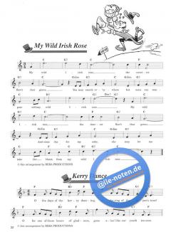 Irish Traditionals & Pub Songs von Frank Rich 