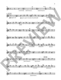 Lux aeterna (Markus Zahnhausen) 