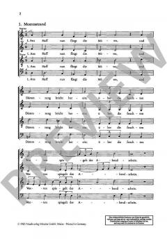 Storm-Lieder Band 2 (Felicitas Kukuck) 