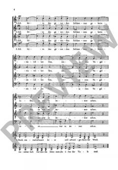 Storm-Lieder Band 2 (Felicitas Kukuck) 