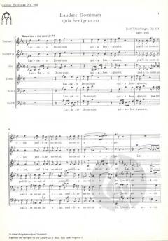 Laudate Dominum (Joseph Gabriel Rheinberger) 