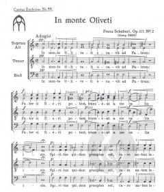 In monte oliveti (Franz Schubert) 