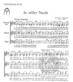 In stiller Nacht (Johannes Brahms) 