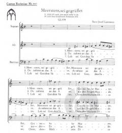 Meerstern, sei gegrüßet (Josef Lammerz) 