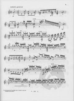 Rossiniana Nr. 1 op. 119 von Mauro Giuliani 