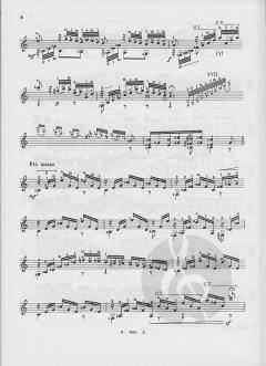 Rossiniana Nr. 1 op. 119 von Mauro Giuliani 