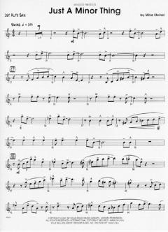 Just A Minor Thing (Mike Steinel) 