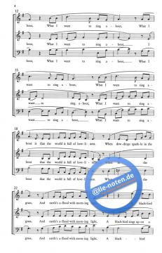 Birdsong 
