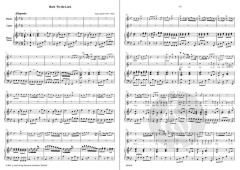 Arie 'Hark 'Tis the Lark' (James Hook) 