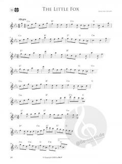 Irish Melodies for Flute von Joachim Johow 