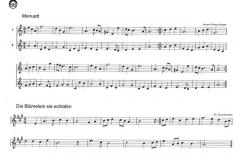 Der Blockflötenspatz Band 2 (Karin Schuh) 