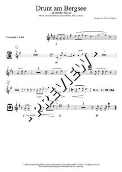 Drunt am Bergsee - DOWNLOAD von Bernhard Michaeli (Download) 