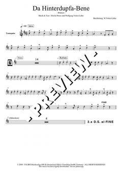 Da Hintadupfa Bene (Wolfgang Vetter-Lohre) 